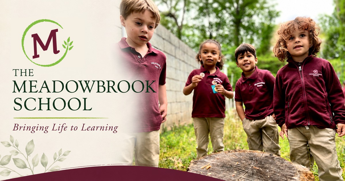 The Meadowbrook School